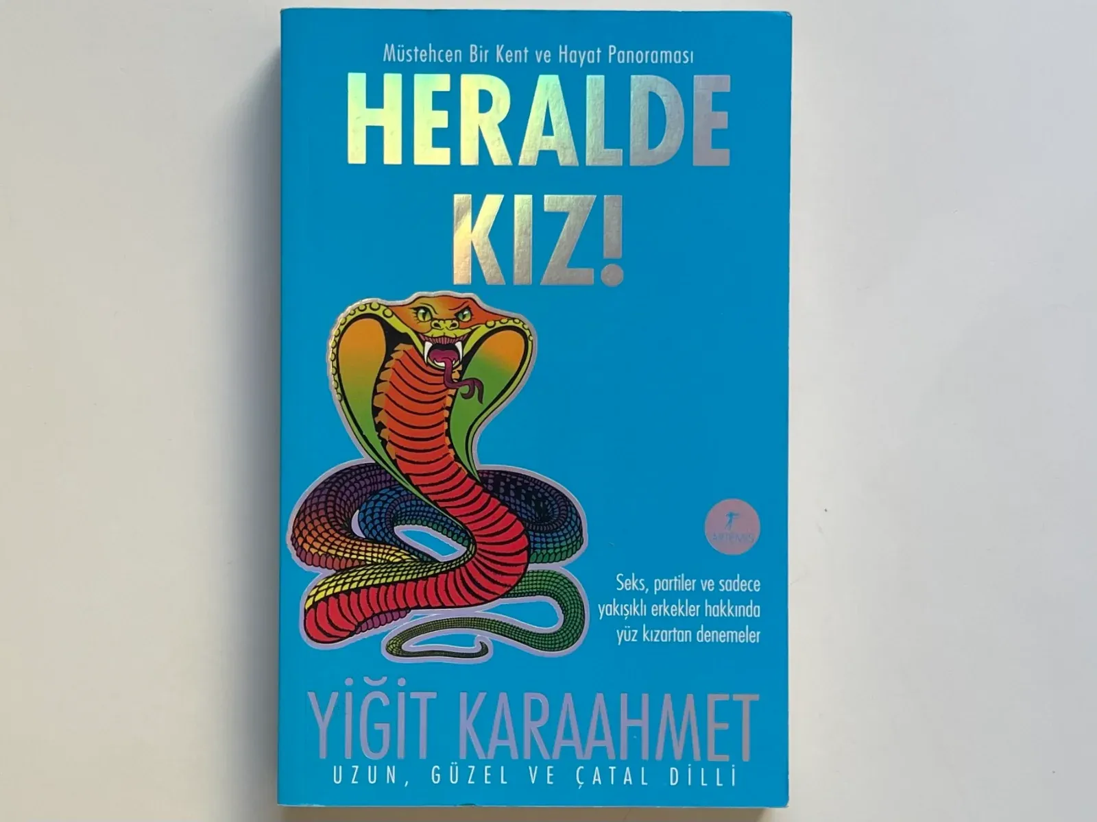 Heralde Kız!: Müstehcen Bir Kent ve Hayat Panoraması Sex, Partiler ve sadece yakışıklı erkekler hakkında yüz kızartan denemeler
