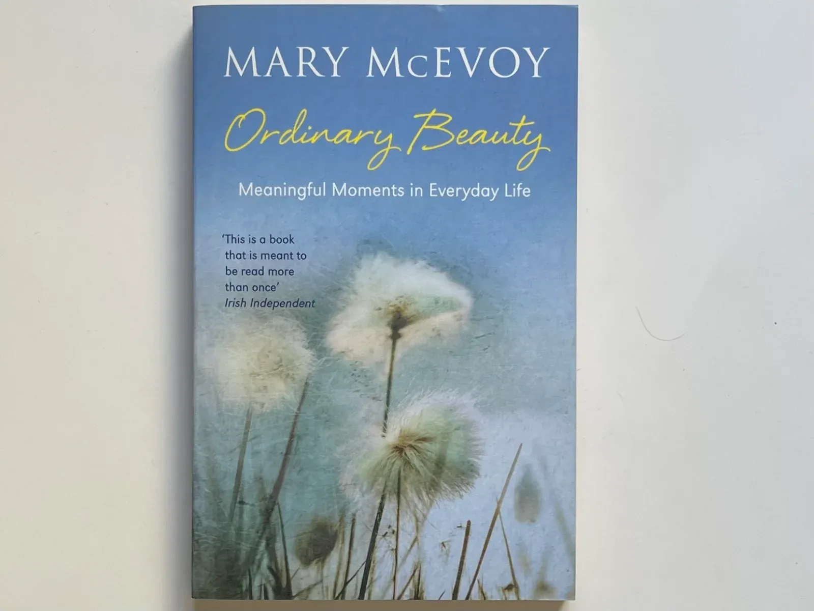 Ordinary Beauty