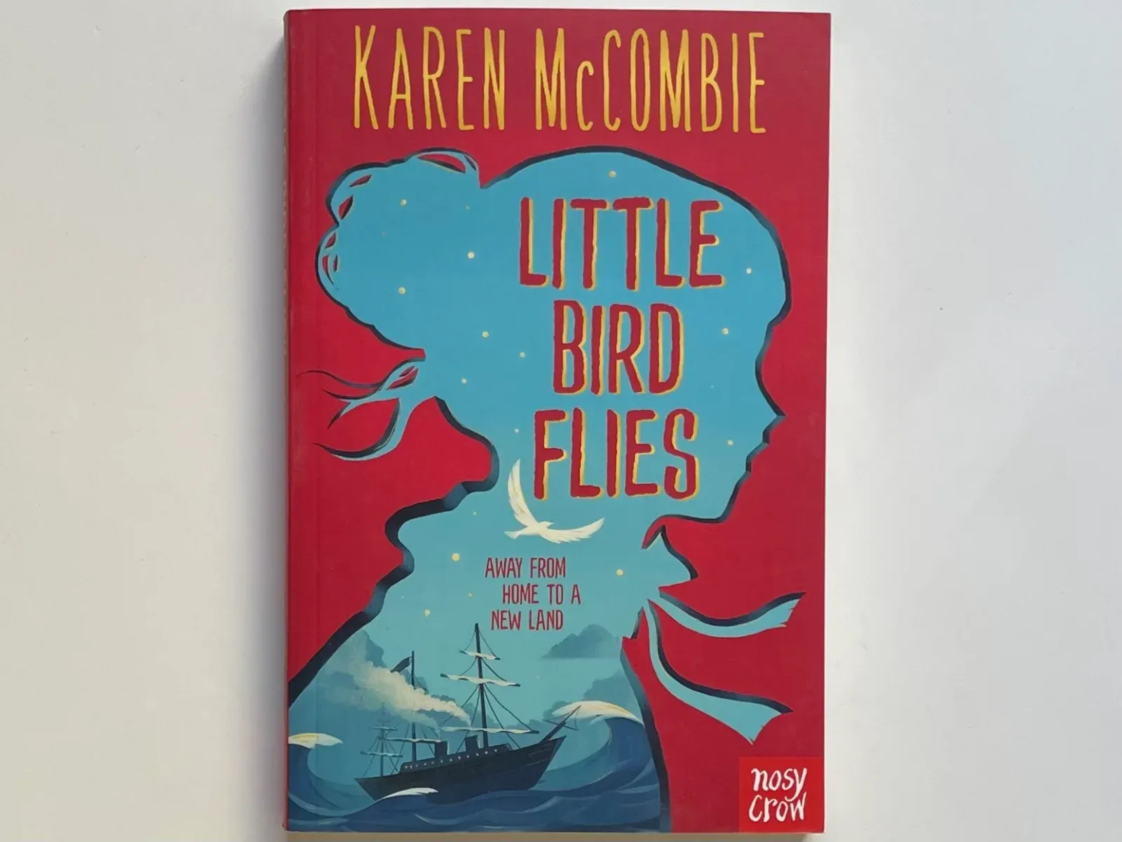 Little Bird Flies
