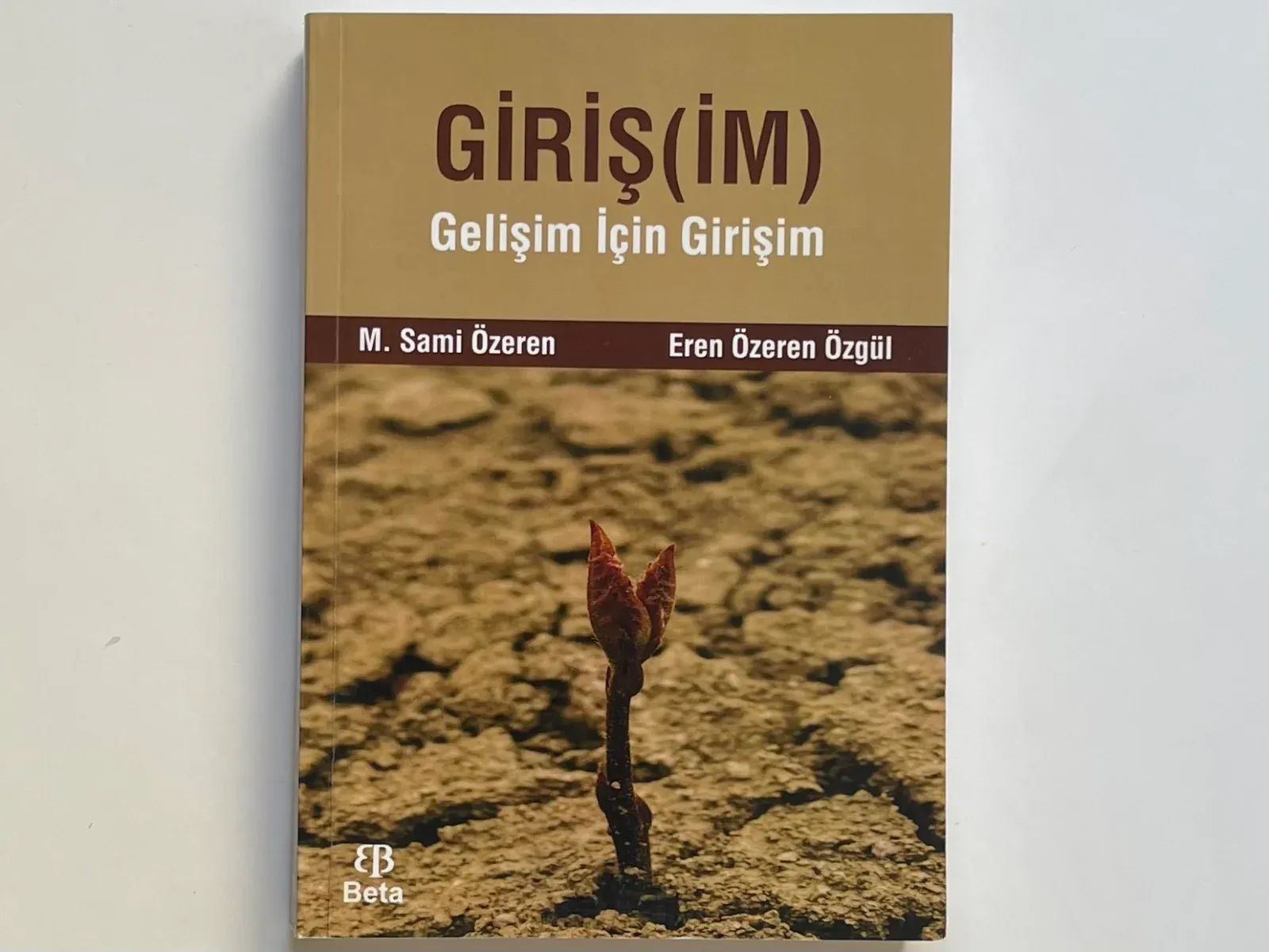 Giriş (im) Gelişim için Girişim