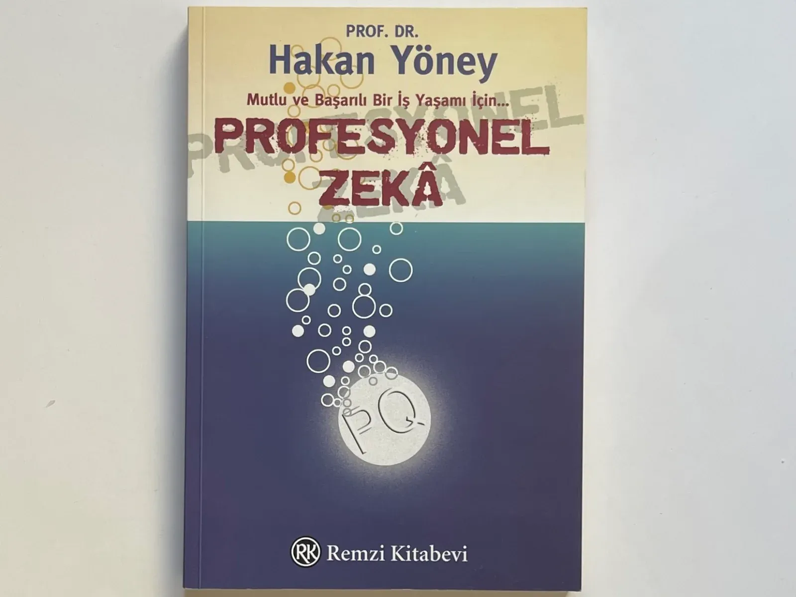 Profesyonel Zeka (PQ): Başarılı ve Mutlu Bir İş Yaşamı İçin Üç Boyutlu Psikomedikal Rehber