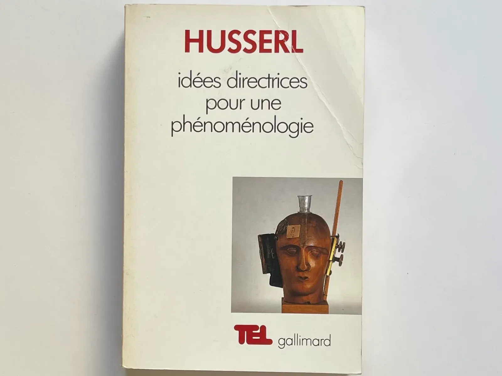 Idees Directrices Pour Une Phenomenologie