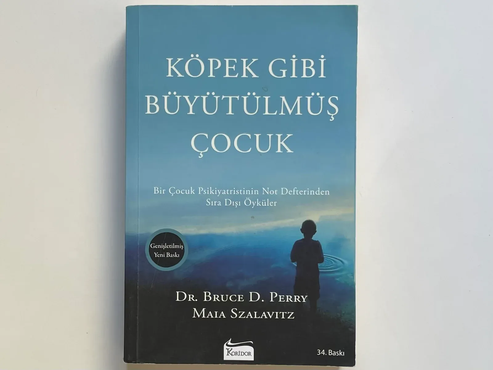 Köpek Gibi Büyütülmüş Çocuk: Bir Çocuk Psikiyatristinin Not Defterinden Sıra Dışı Öyküler