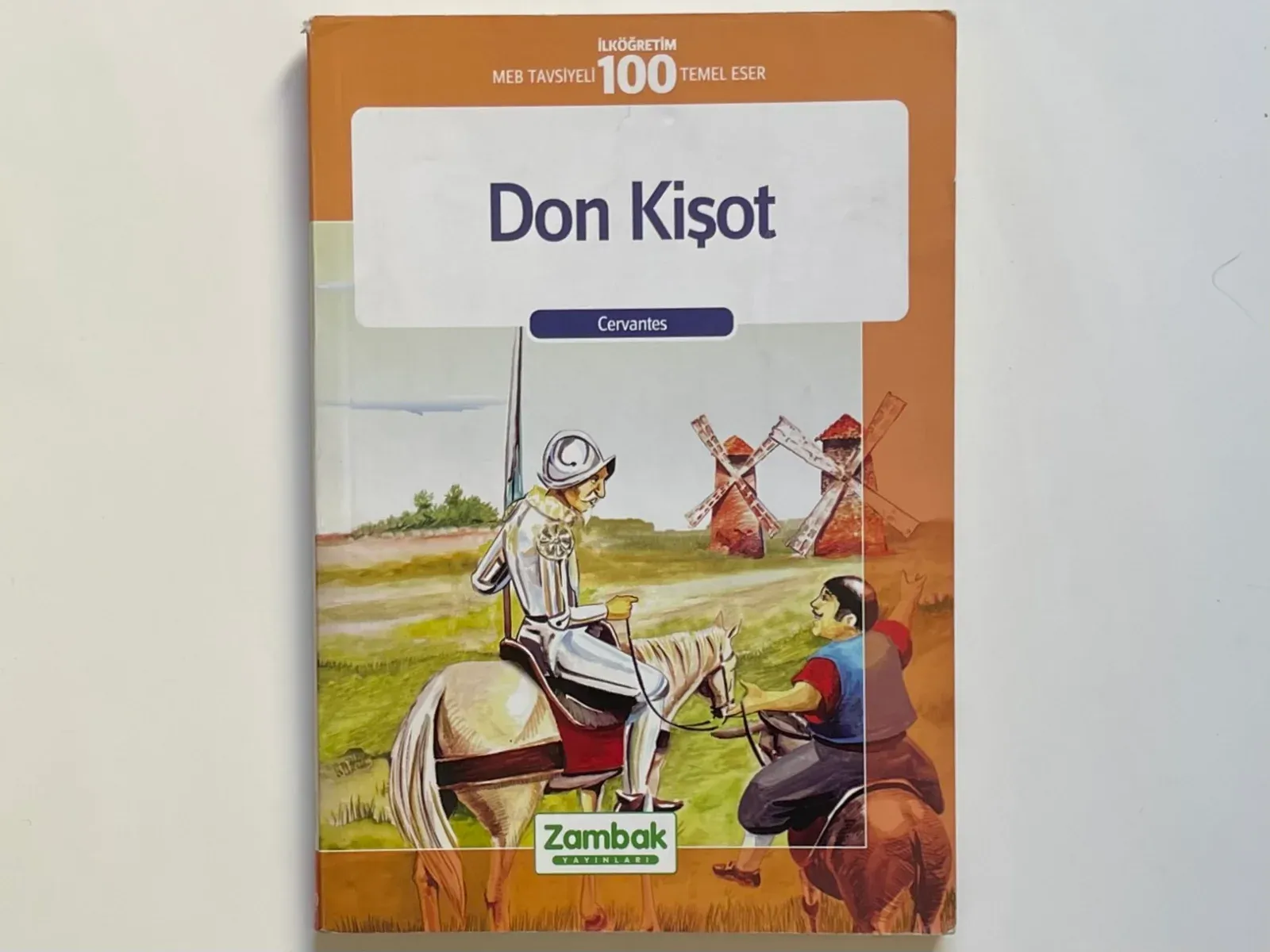 Don Kişot
