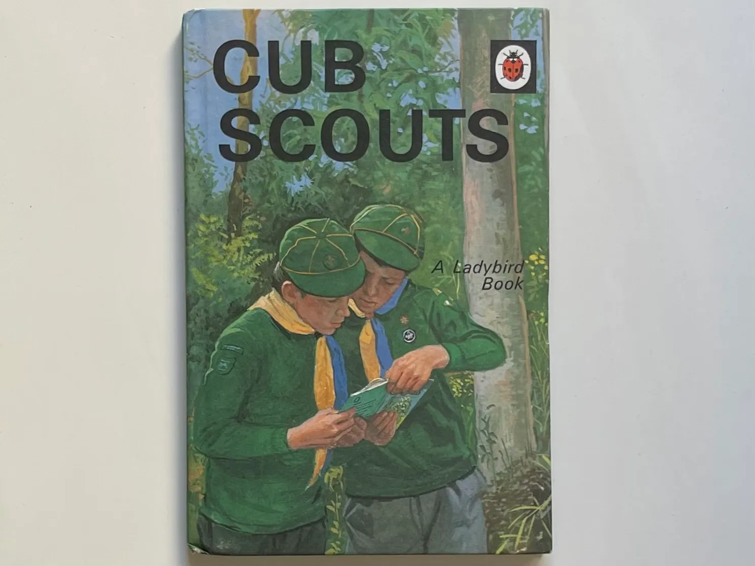 Cub Scouts