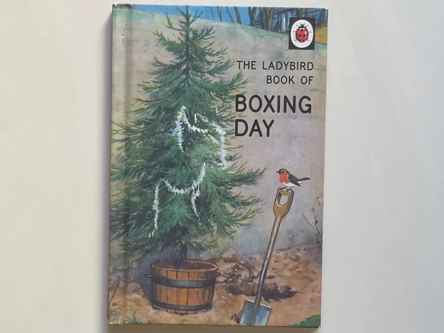 The Ladybird Book of Boxing Day